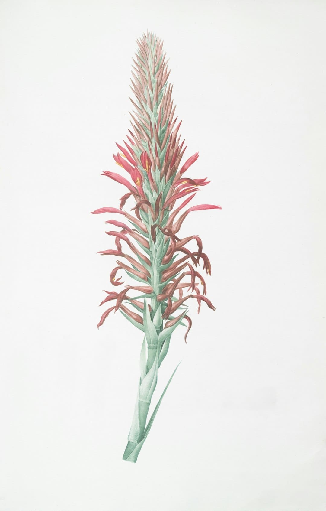 鞠婧祎ins更新 夏天新鲜美照释出